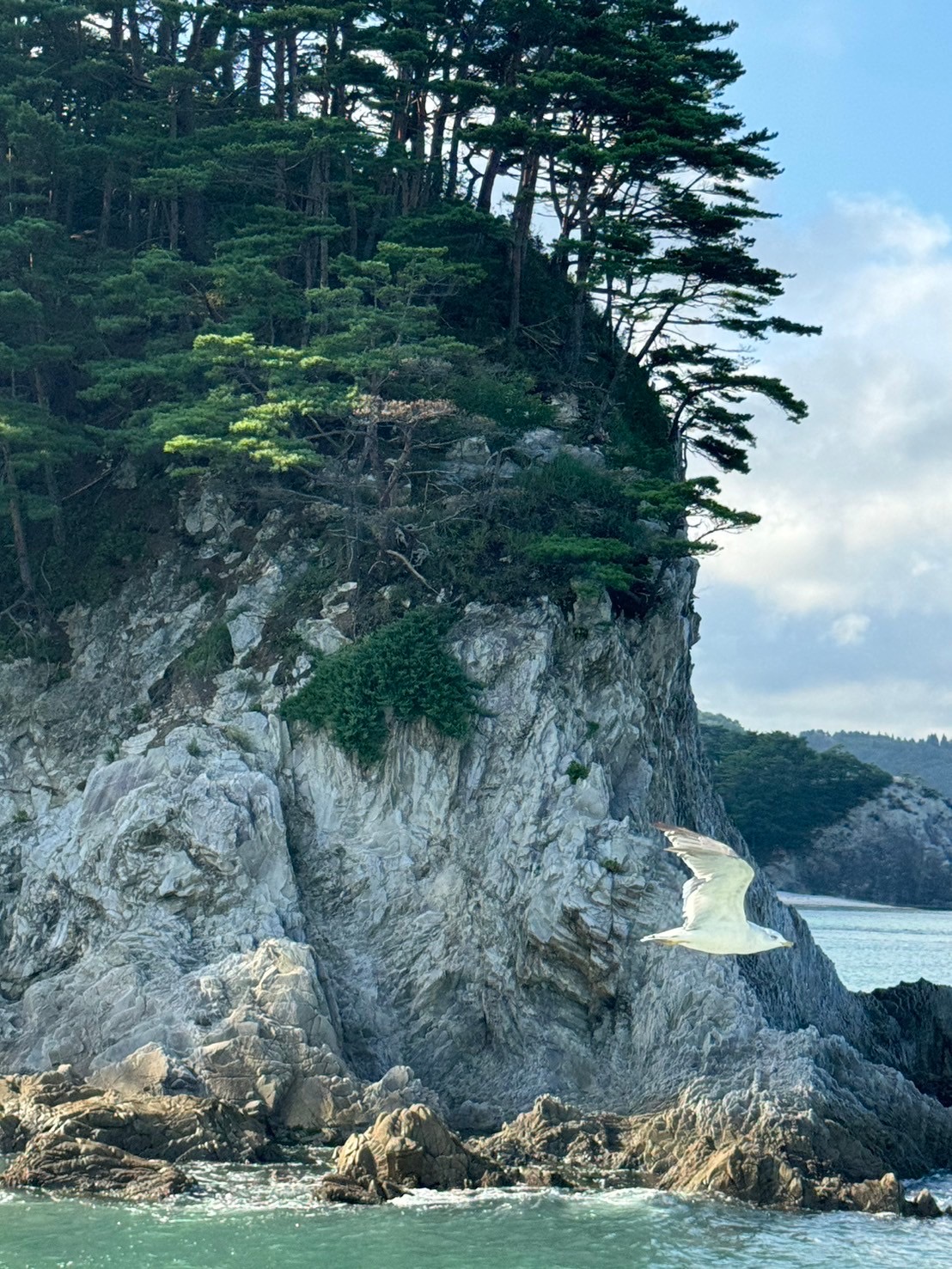 宮古〜浄土ヶ浜